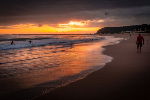 Foto profissional grátis de férias, freqüentadores da praia, Hora dourada