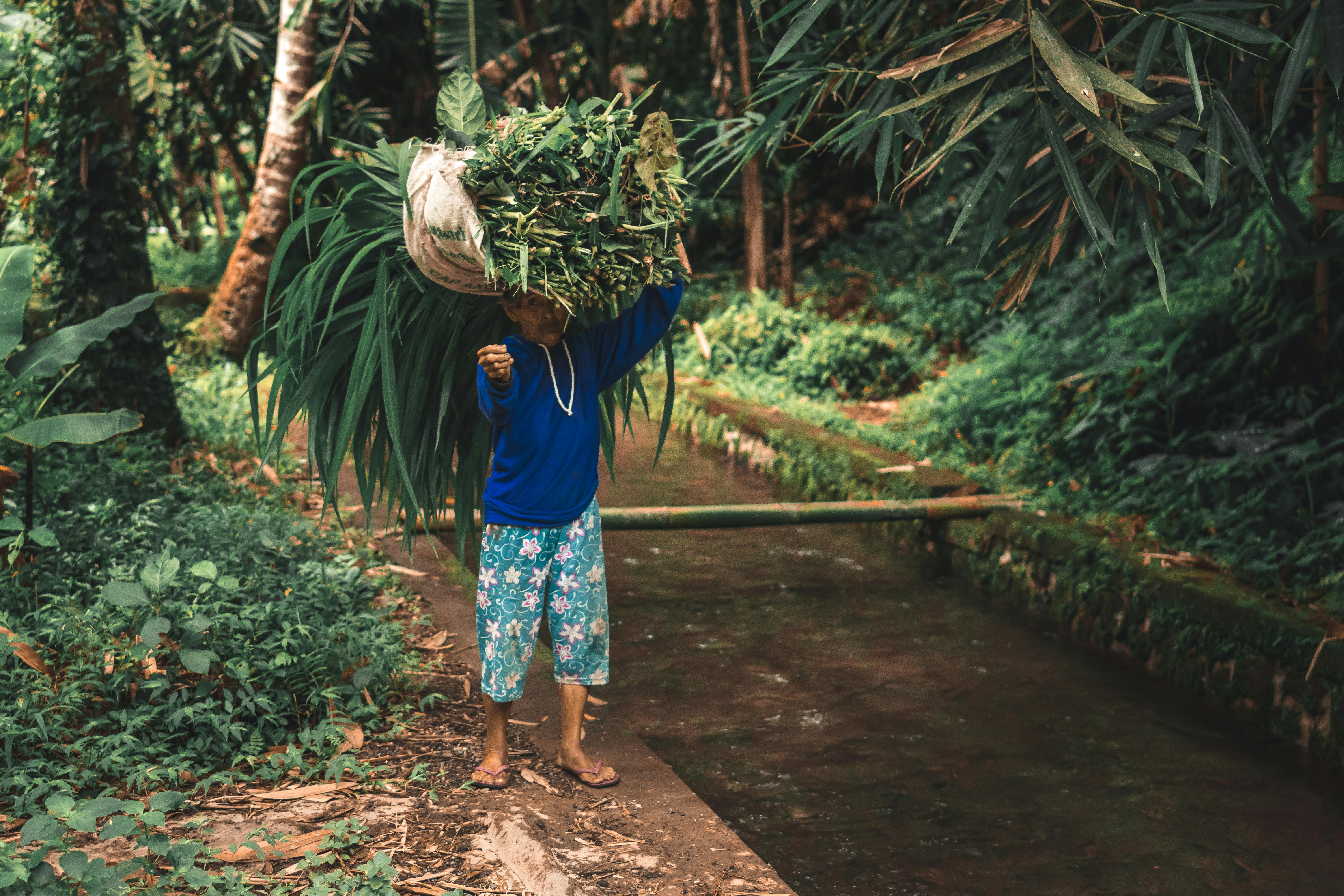 man in blue long sleeved shirt and white and green floral shorts carrying green plants