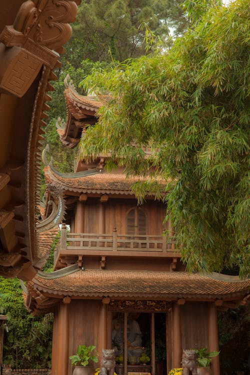 Gratis stockfoto met boeddhistische tempel, groene bomen, natuurlijk geschiedenismuseum