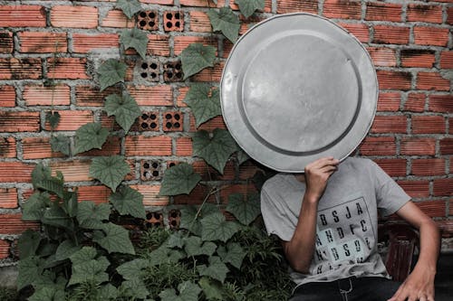 Free Person Wearing Gray Crew-neck T-shirt holding a tray on the face next to a brick wall  Stock Photo