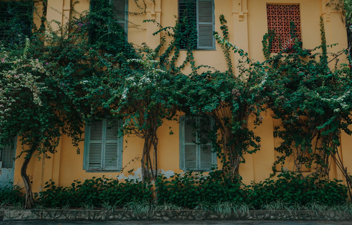 Photo of Facade of Building