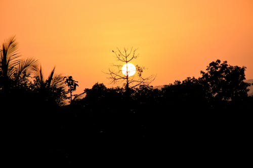 Бесплатное стоковое фото с восход, закат, природа