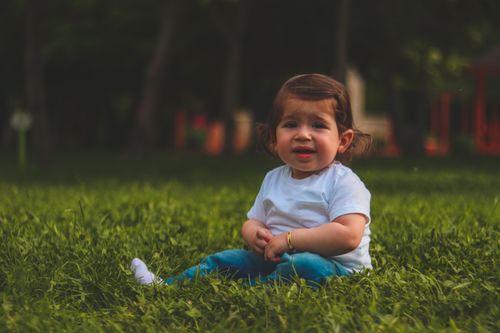 Free Adorable toddler enjoying a sunny day sitting on lush green grass in a park. Stock Photo