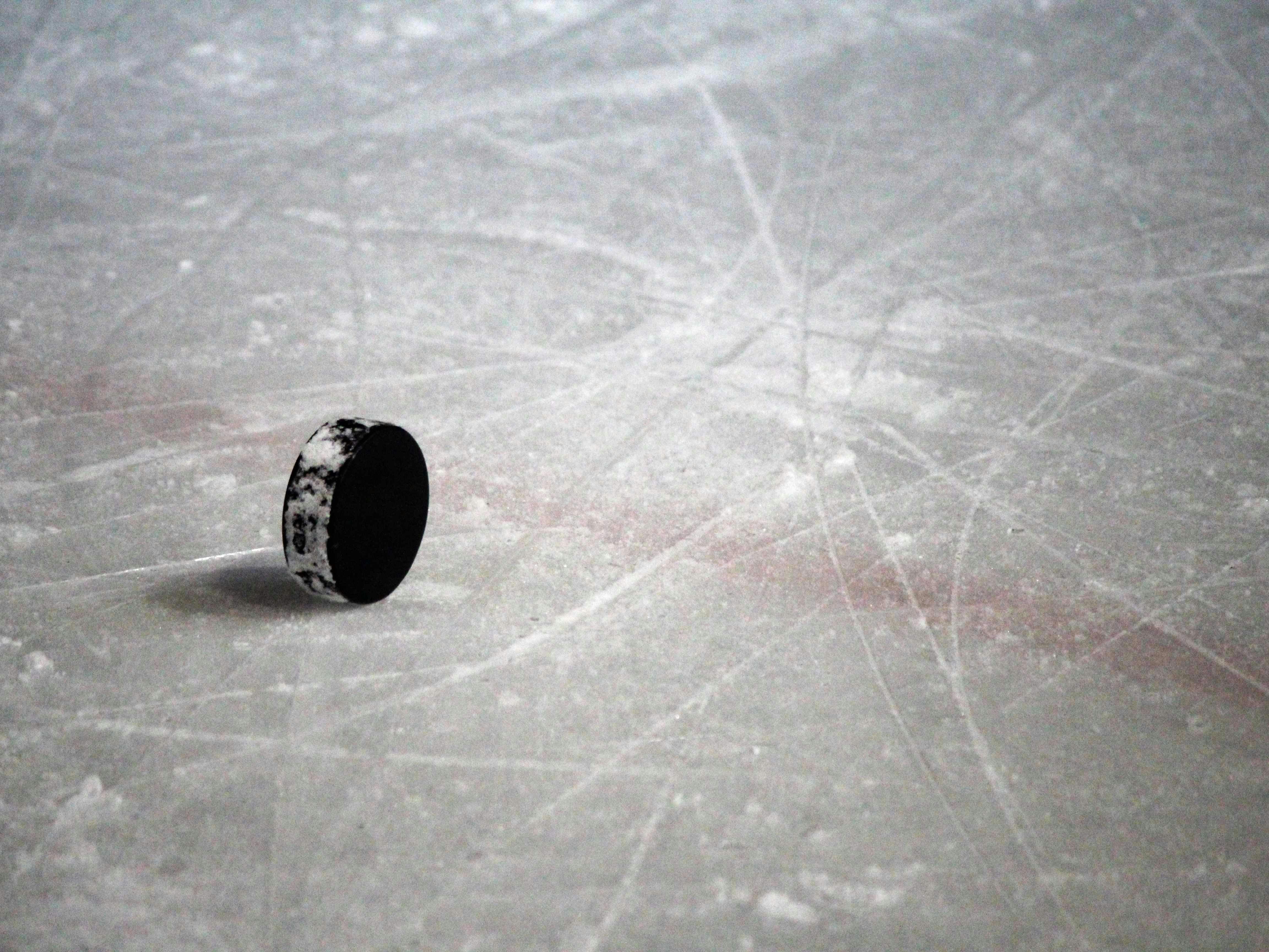 Free stock photo of hockey, ice, ice hockey