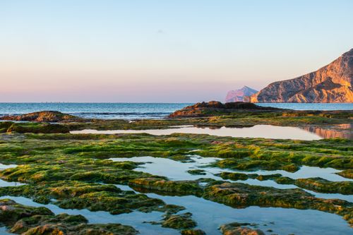 Free Beautiful coastal scene with green tide pools and sunset light, perfect for nature lovers. Stock Photo