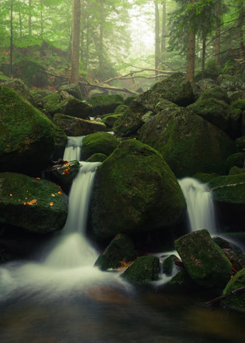 Water Falls in the Middle of the Forest