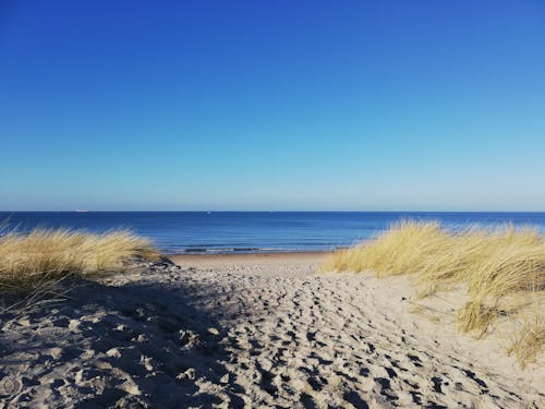 Foto d'estoc gratuïta de cel blau, Costa, horitzó