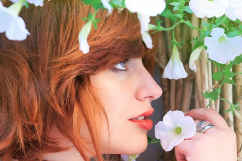 女人拿著白色的花瓣花的特寫照片
