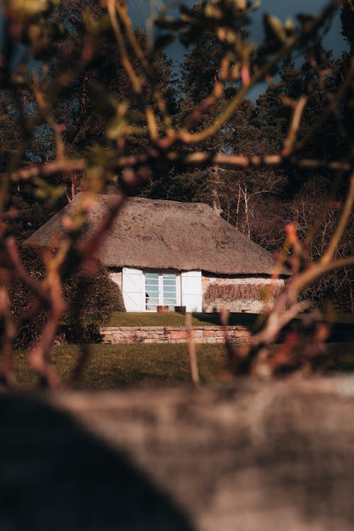 Gratis stockfoto met bomen, buitenkant van het gebouw, cottage