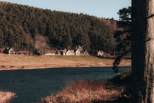 丘, 家, 川の無料の写真素材