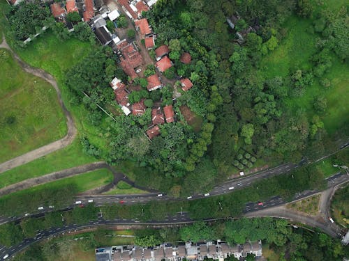 Bird's Eye View OfHouses Surrounded By Trees