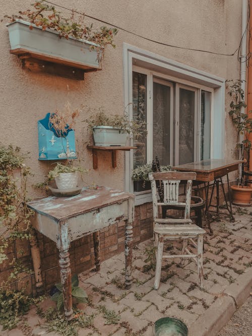 Potted Plants In Front of a House