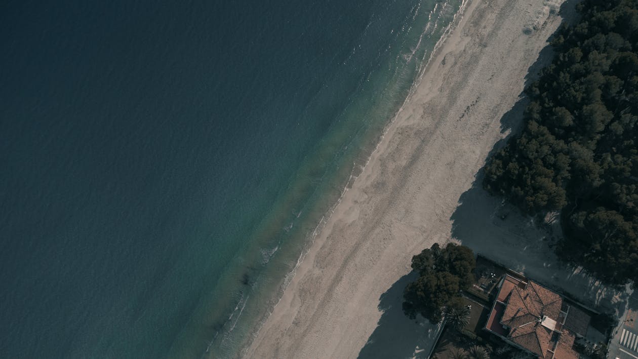 Aerial Shot of a Beach