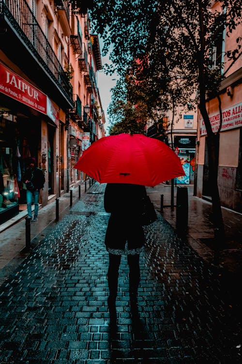 拿著紅色雨傘的人的照片