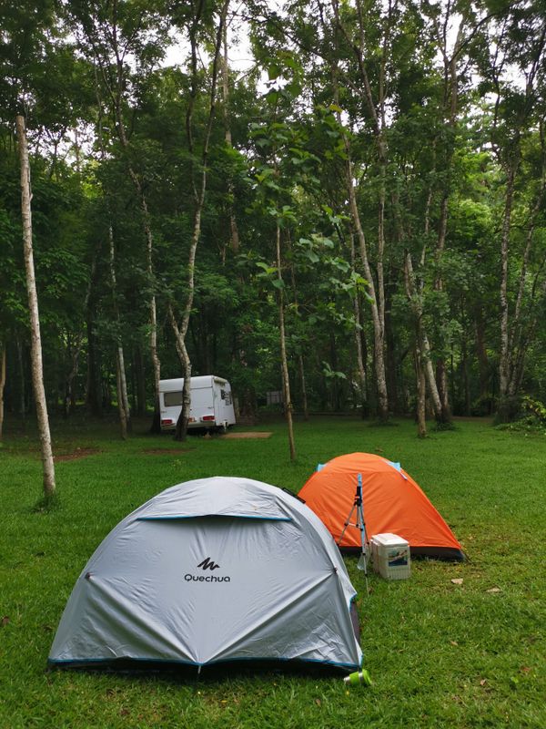 Two colourful tents pitched on a green grass field beside leafy trees