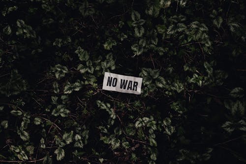 A No War Sign on Green Leaves Background