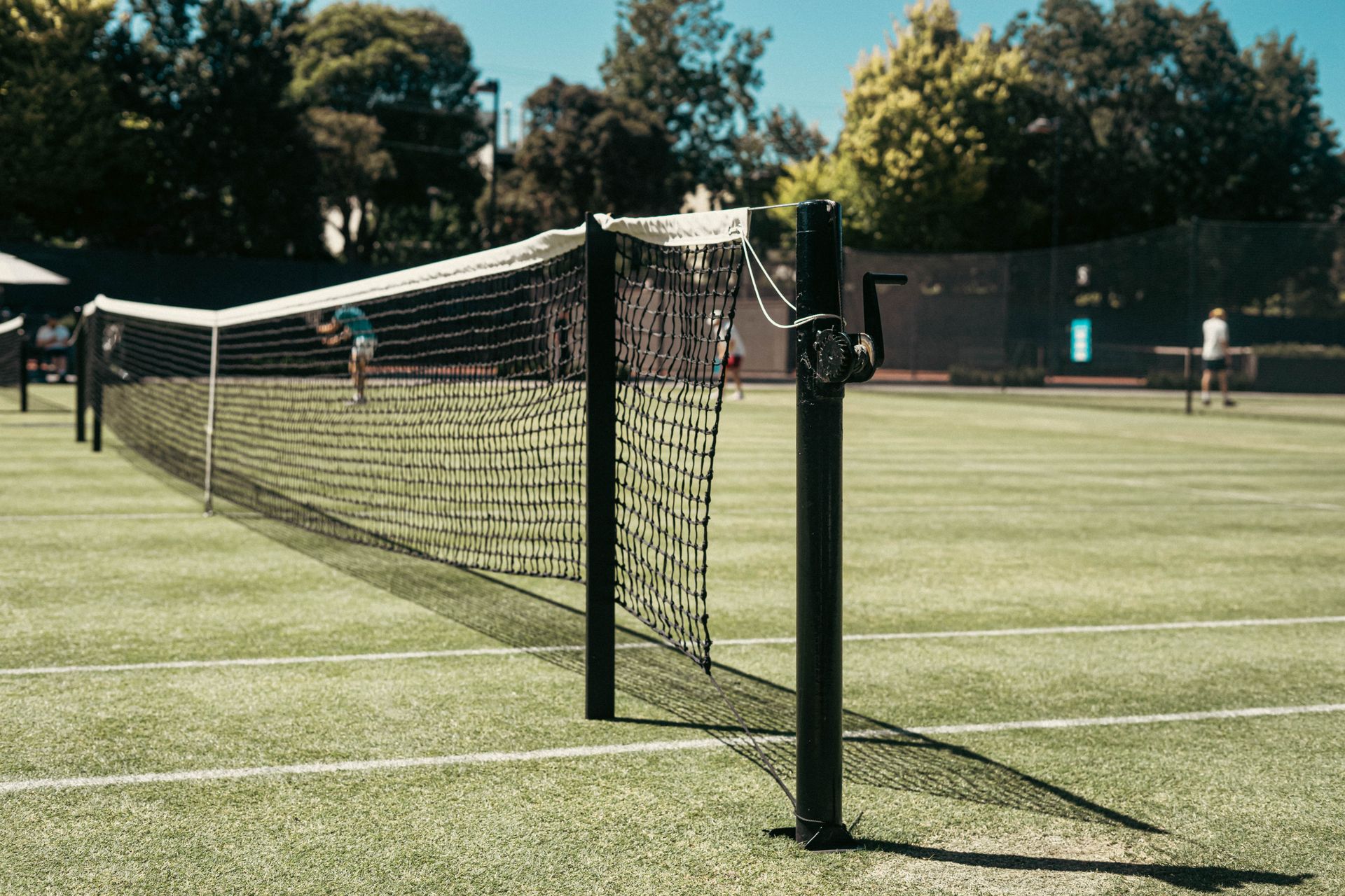 On planda file bulunan bir cim tenis kortu