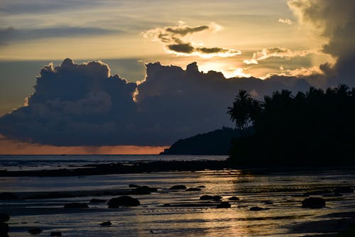 Silhouette of Beach during Golden Hour