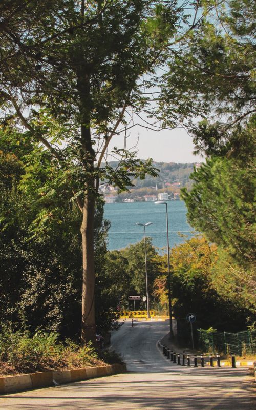 Free A picturesque road shaded by trees leads to the Bosphorus in Istanbul, Turkey. Stock Photo