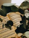 Green Leaves on Musical Notes