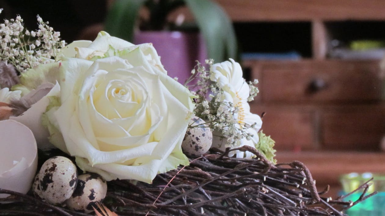 artistic, beautiful flowers, easter