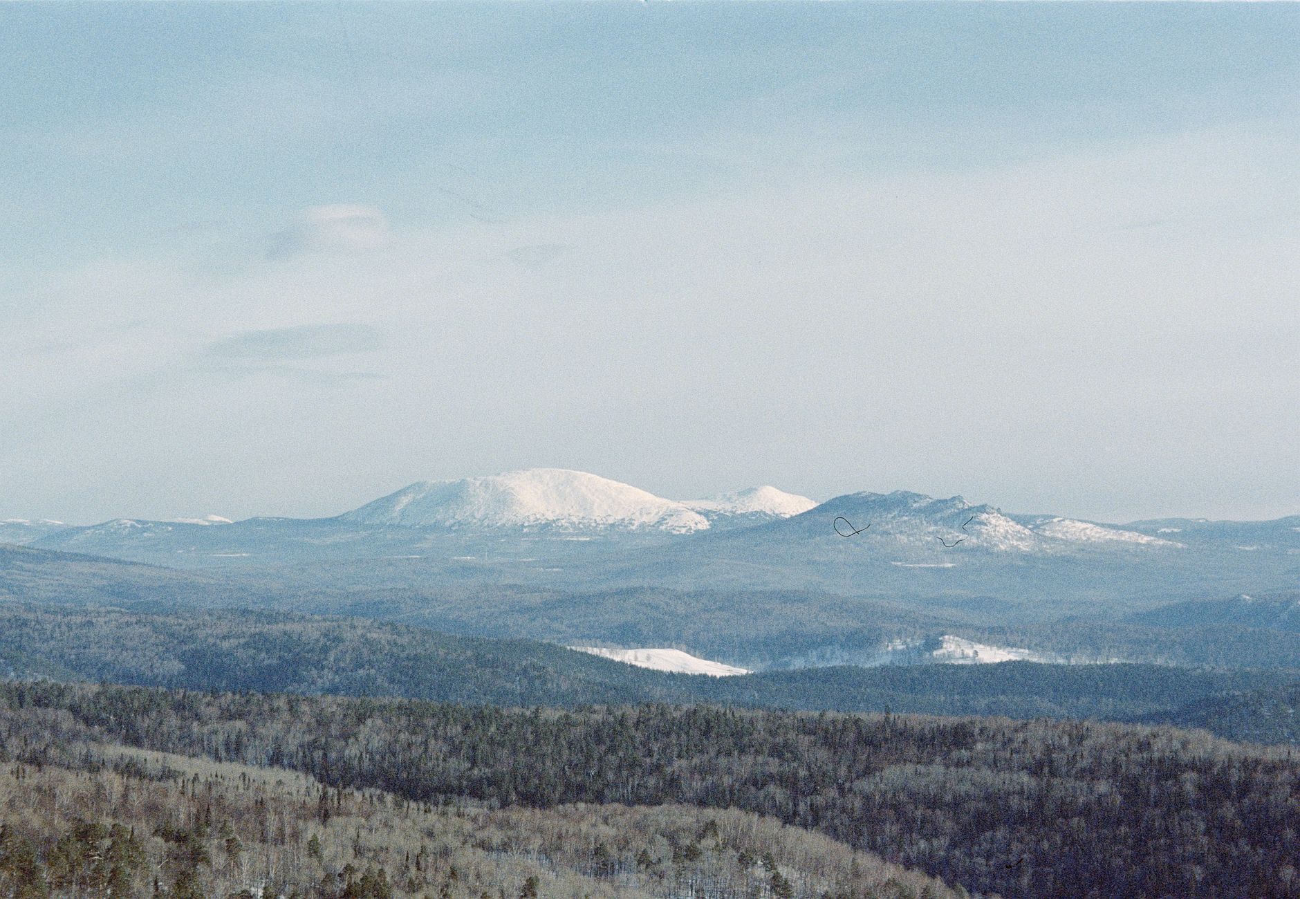 Aerial view of snow-covered Ural Mountain ridges and dense conifer forests in winter, Russia.