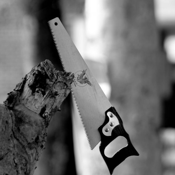 Hand Saw