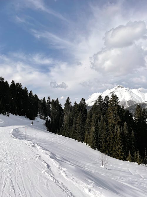 Gratis lagerfoto af bjerg, blå himmel, forkølelse Lagerfoto
