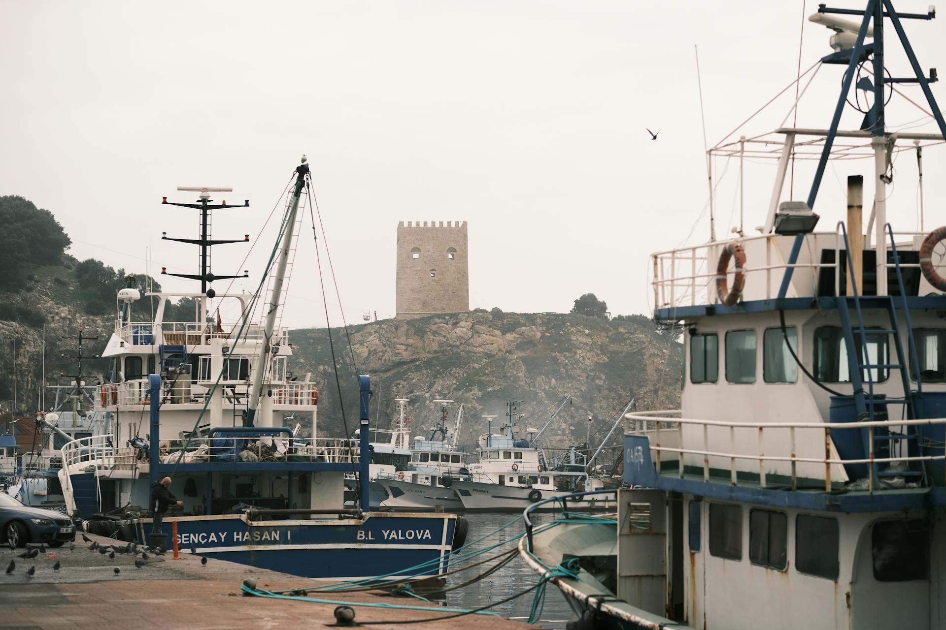 Fishing boats docked at a harbor with a historic tower in the background, creating a serene maritime scene.