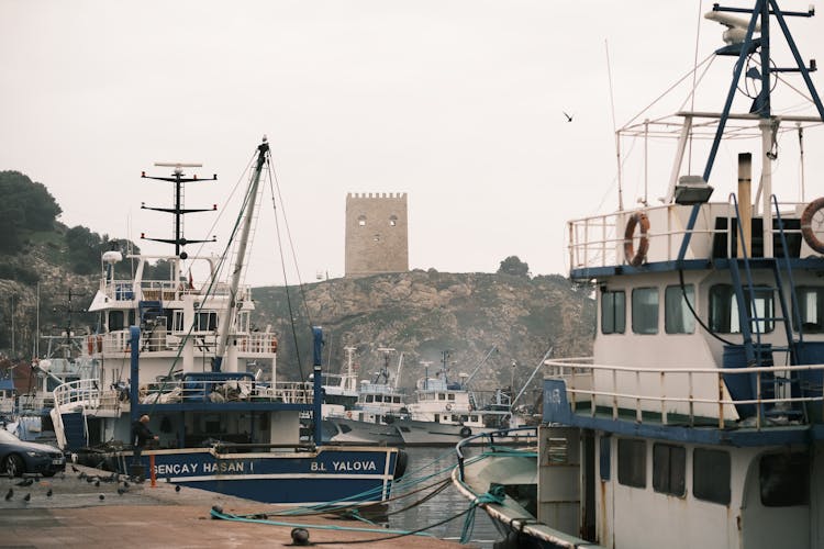 Ships In Port