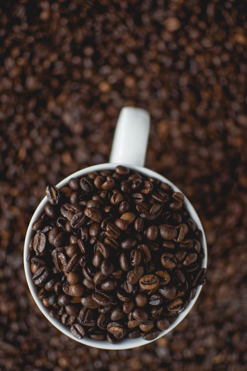 Free Cup Of Coffee Beans Stock Photo