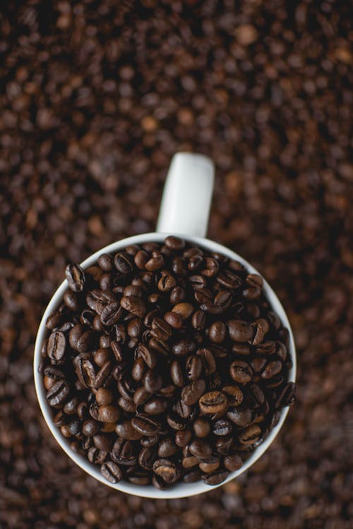 Cup Of Coffee Beans