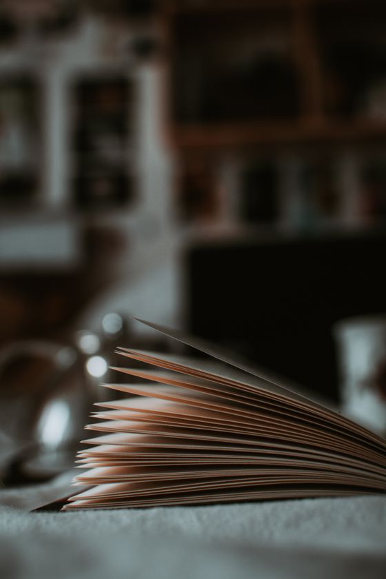Fanned pages catching the light — photo by lil artsy on Pexels