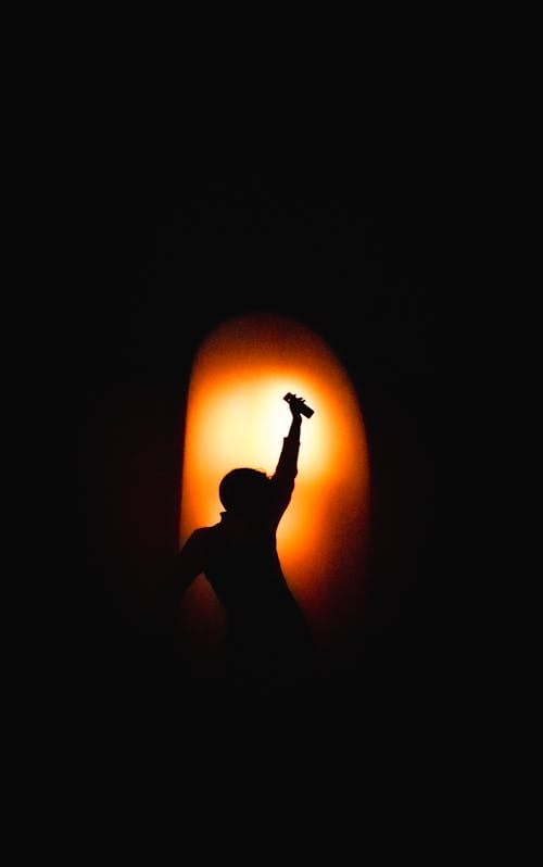 Silhouette of Person Raising Right Hand