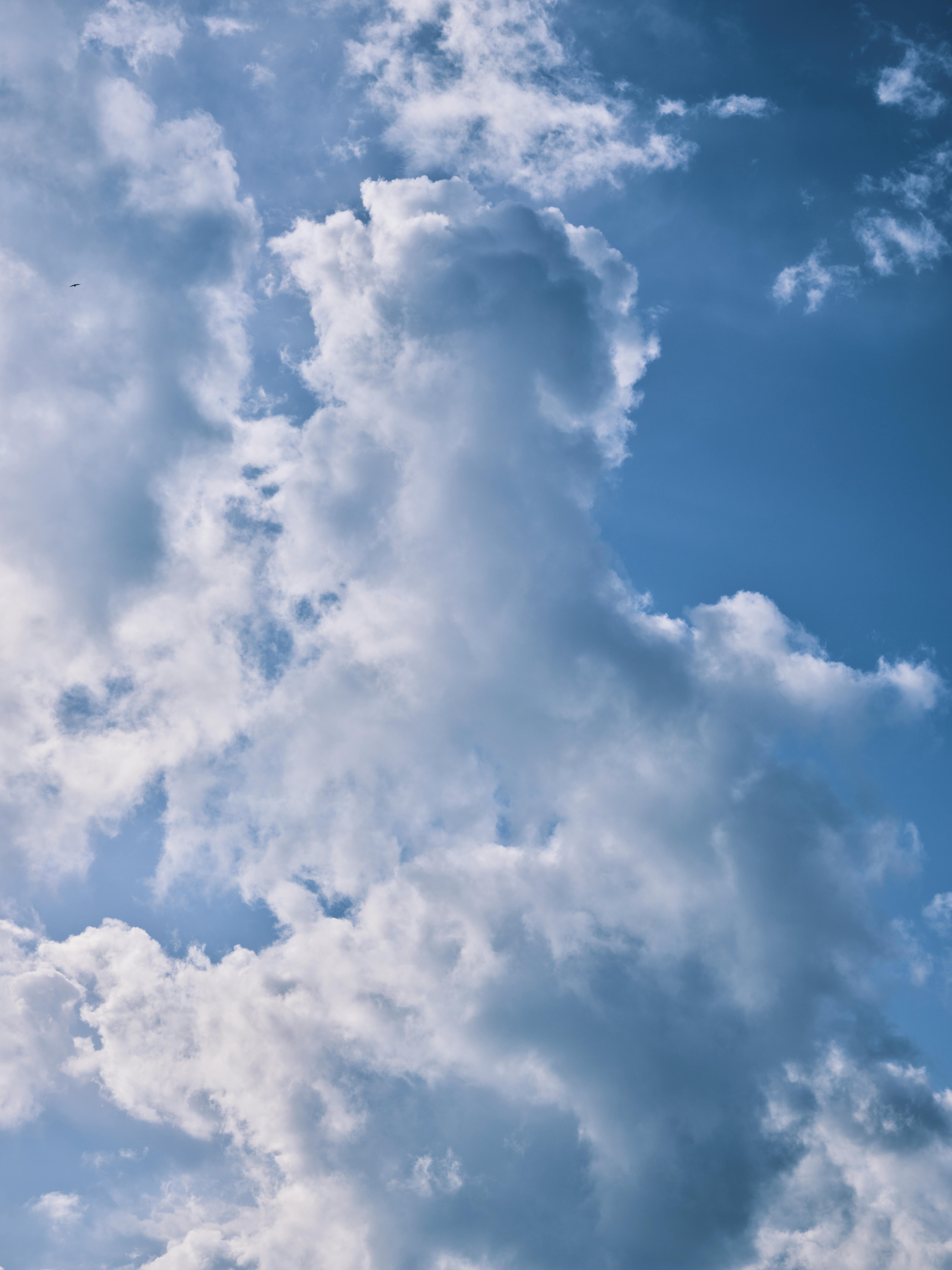 Beautiful vertical image of a clear blue sky filled with fluffy white clouds.