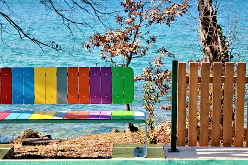 Безкоштовне стокове фото на тему «барвистий, вода, дерев’яний»
