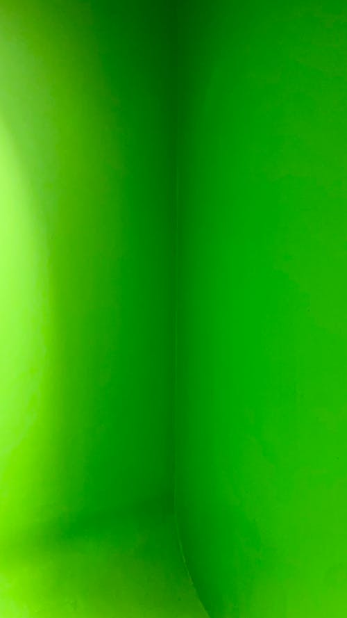 Immagine gratuita di carta da parati verde, muro, muro verde