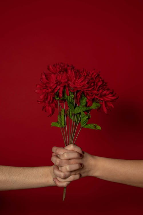 Free People Holding Artificial Red Flowers Stock Photo