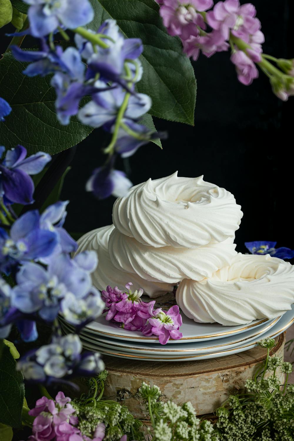 Pavlova Pavlova