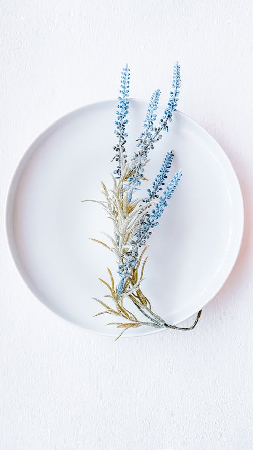 Lavender Flower on White Plate 