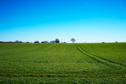 Bezpłatne Darmowe zdjęcie z galerii z błękitne niebo, otwarte pole, pole trawy Zdjęcie z galerii