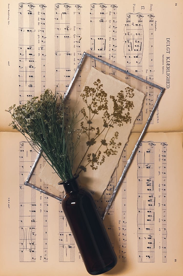 Dried Flowers On Music Notes