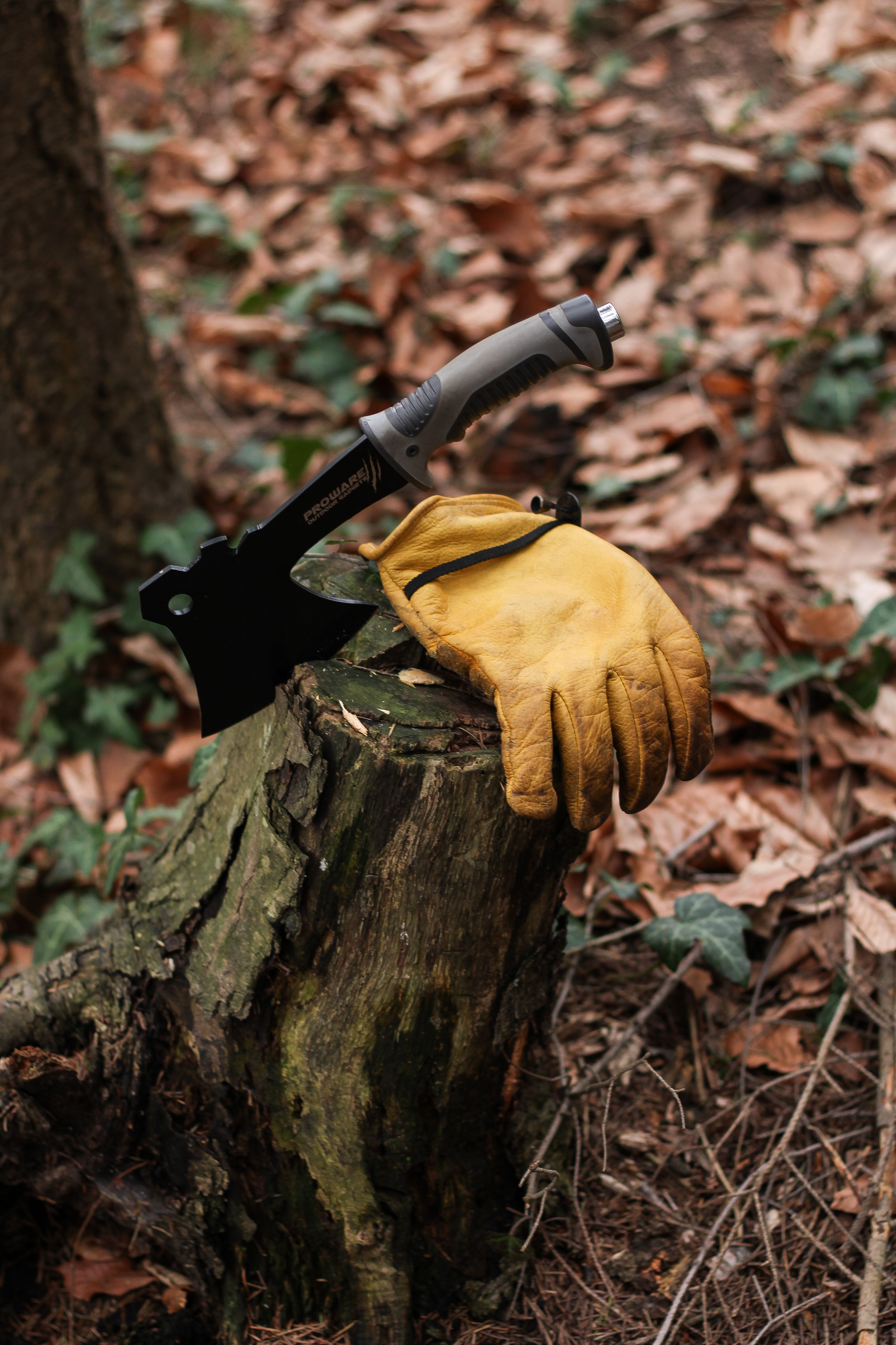 Axe and gloves resting on a tree stump amidst fallen leaves in a forest setting.