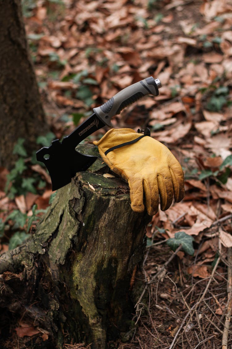 Axe And Yellow Gloves On Tree Trunk 