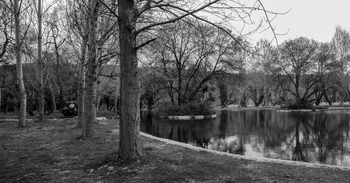 Black and white image of a peaceful lake and trees in autumn in Morocco.