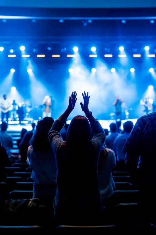 Audience Standing During Concert