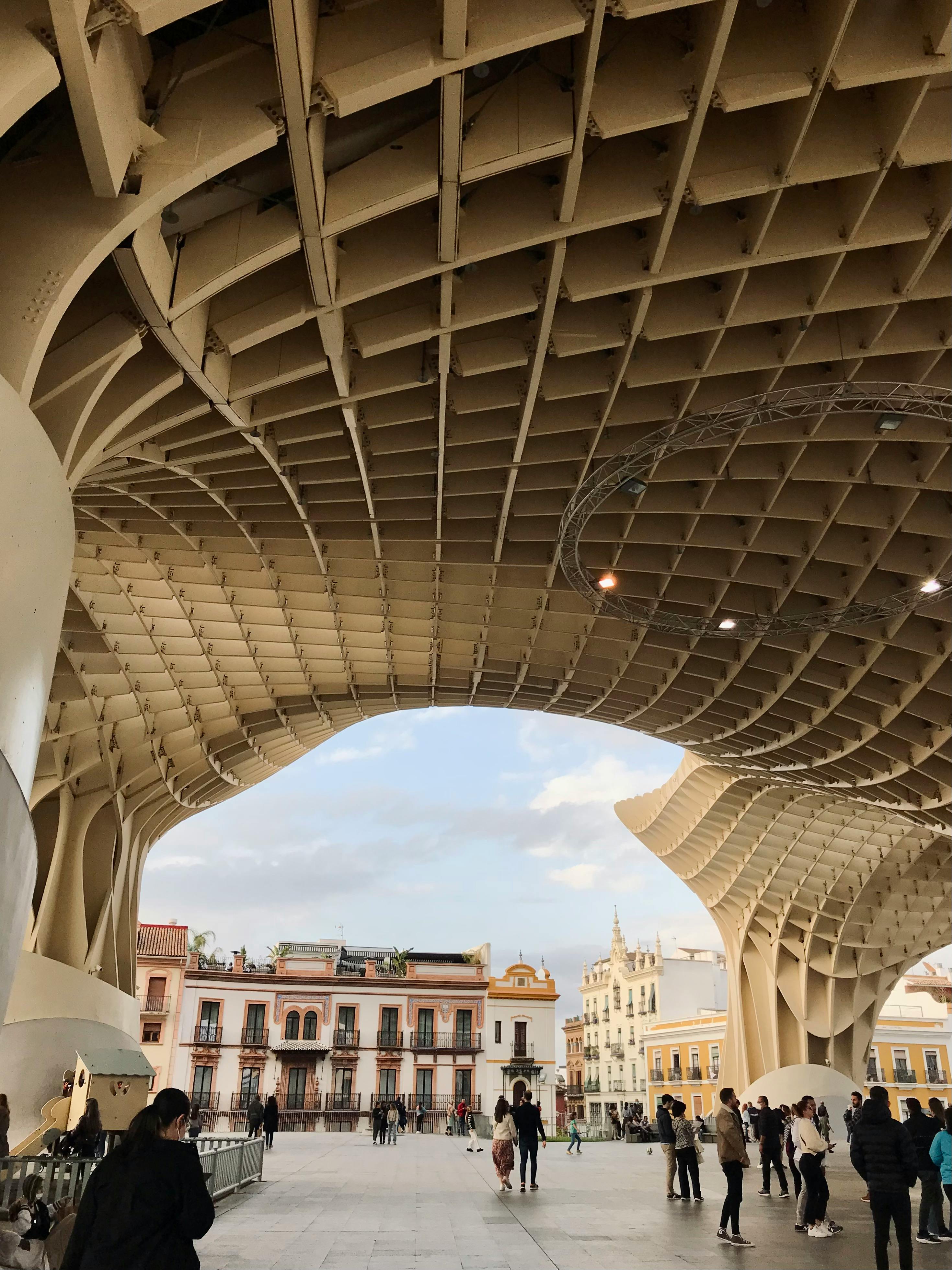 the setas de sevilla in spain