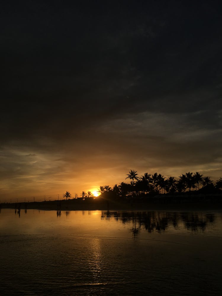 Waterfront Silhouette Of Trees During Golden Hour