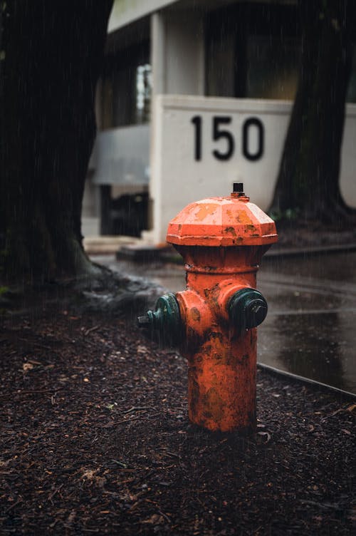 Fire Hydrant in Close Up