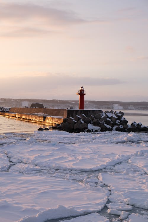 бесплатная Бесплатное стоковое фото с вертикальный выстрел, зима, лед Стоковое фото